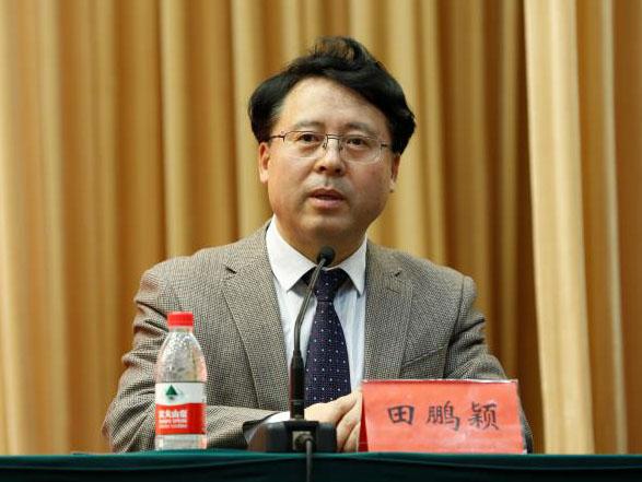 田鵬穎：投入其中、樂在其中、安身其中