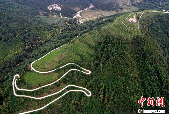 圖為西藏林芝市墨脫縣背崩鄉(xiāng)格林村山頂的景觀茶園。(無人機照片) 李林 攝
