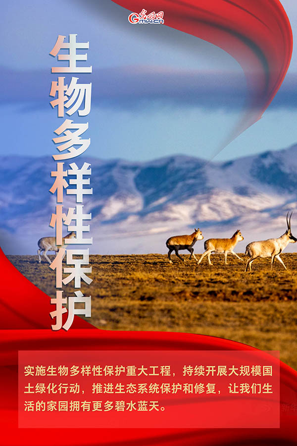 海報(bào)| 2021年政府工作報(bào)告，提到這些生態(tài)環(huán)保關(guān)鍵詞